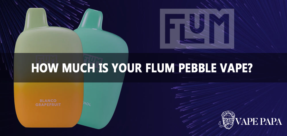 How Much Is Your Flum Pebble Vape? Vape papa How Much Is Your Flum Pebble Vape? Vape papa