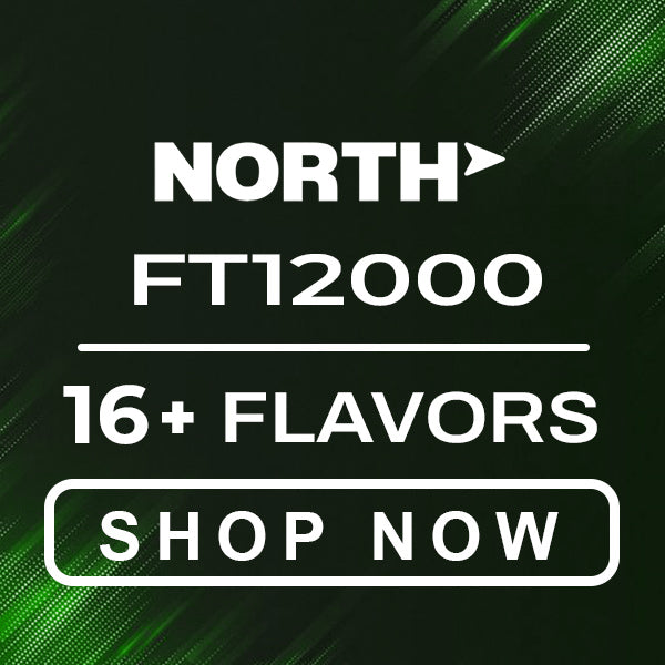 North Vape Flavors 12000 Puffs Blue Crystal North FT12000 Flavors Vape papa