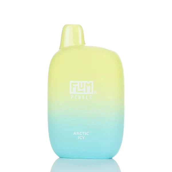 Flum Pebble Arctic Icy Flavor - Disposable Vape