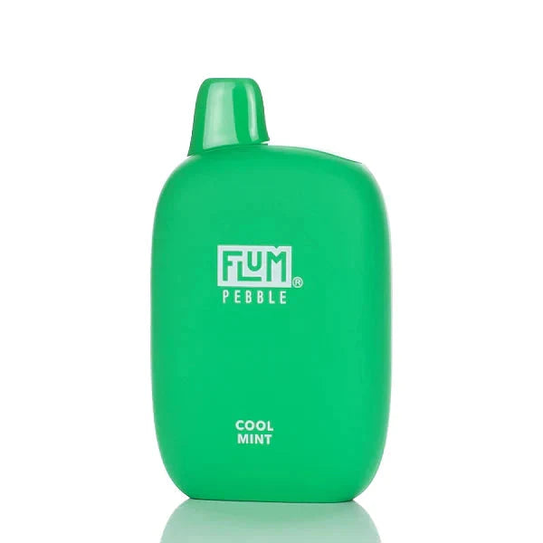 Flum Pebble Cool Mint Flavor - Disposable Vape