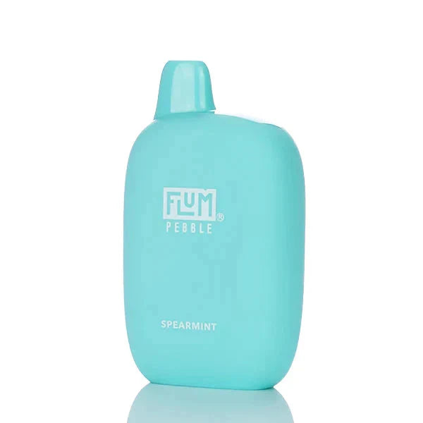 Flum Pebble Spearmint Flavor - Disposable Vape