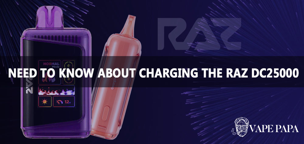 All You Need to Know About Charging the RAZ DC25000 Vape Papa All You Need to Know About Charging the RAZ DC25000 Vape Papa