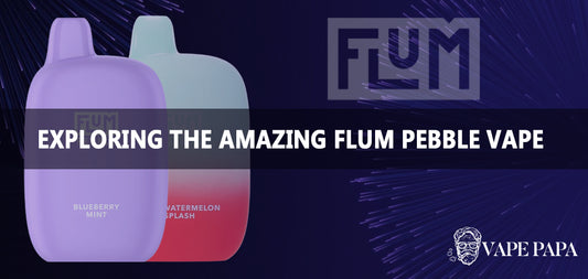 Exploring the Amazing Flum Pebble Vape