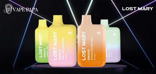 The Role of Mesh Coil in the Uniqueness of Lost Mary Disposable Vape