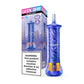 Geek Bar Burj 80000 Puffs Disposable Vape - Grape Mint