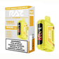 RAZ TN9000 Sour Mango Pineapple
