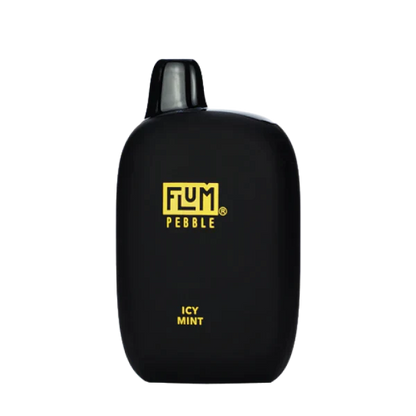 Flum Pebble Icy Mint Flavor - Disposable Vape