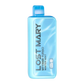 Lost Mary MT15000 Winter Mint Flavor - Disposable Vape
