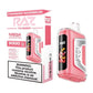 Raz Tn9000 strawberry watermelon