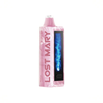 Lost Mary MO20000 Pro - Miami Mint