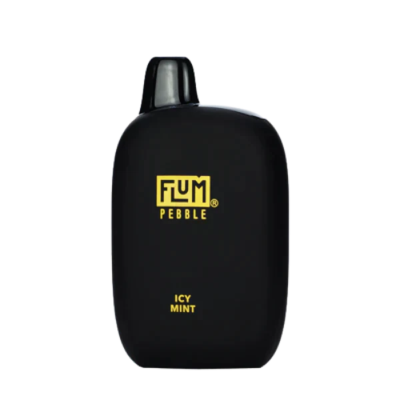 Flum Pebble Icy Mint Flavor - Disposable Vape