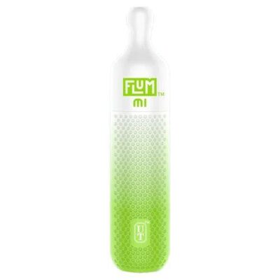 Flum MI Strawberry Kiwi
